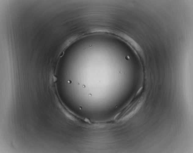 X0000115520993200911061414
