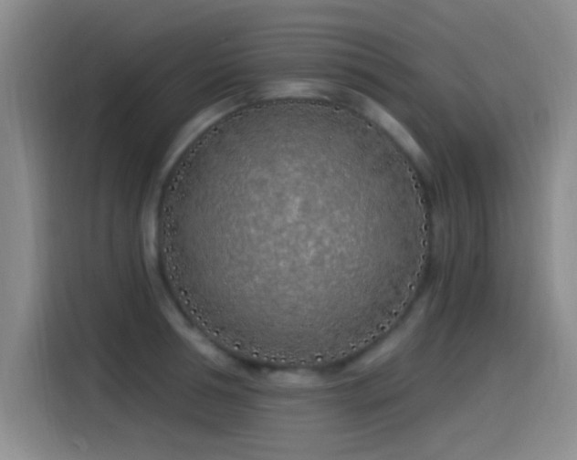 X0000115520994200911061414