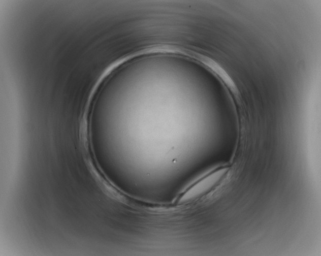 X0000115520996200911061414