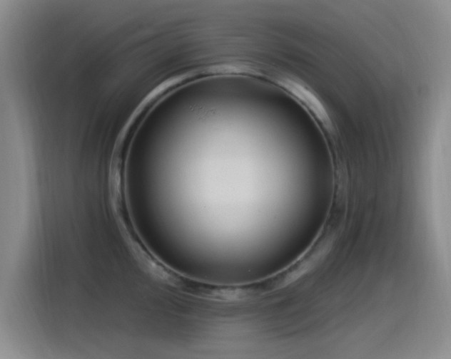 X0000115521000200911061413