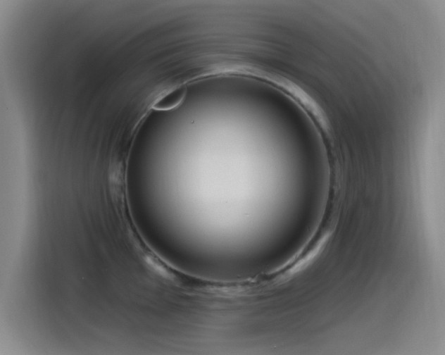 X0000115521001200911061413