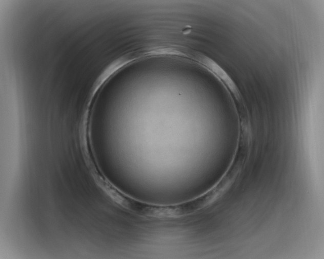 X0000115521002200911061413