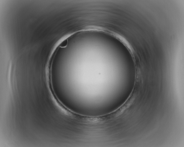 X0000115521003200911061413
