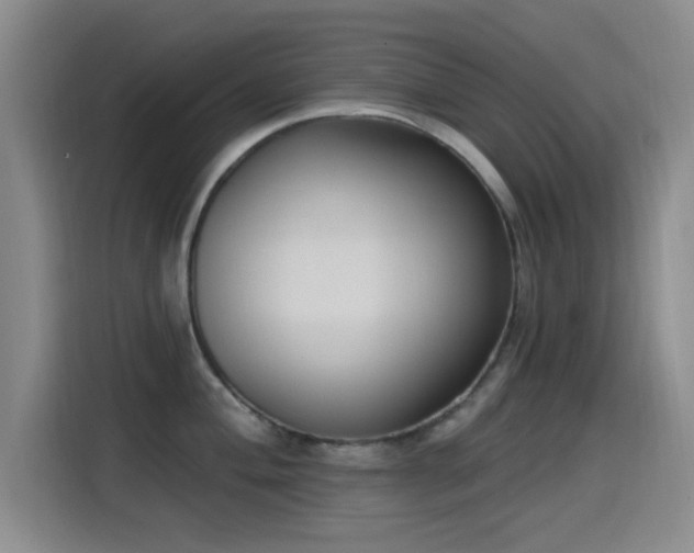 X0000115521004200911061413