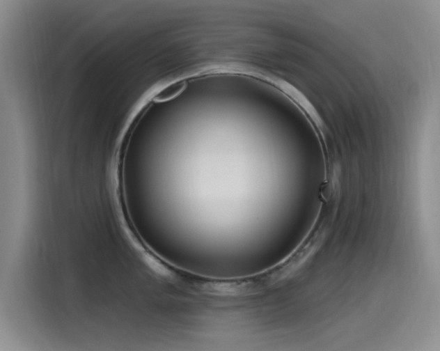 X0000115521005200911061413