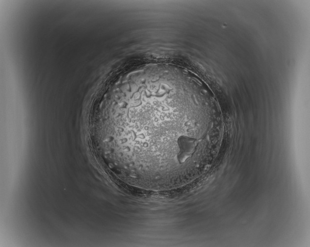 X0000115521009200911061413