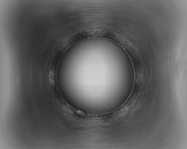 X0000115521010200911061413