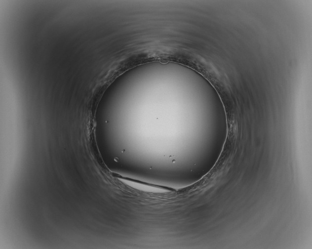 X0000115521012200911061413