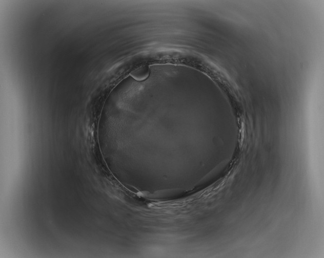 X0000115521013200911061413