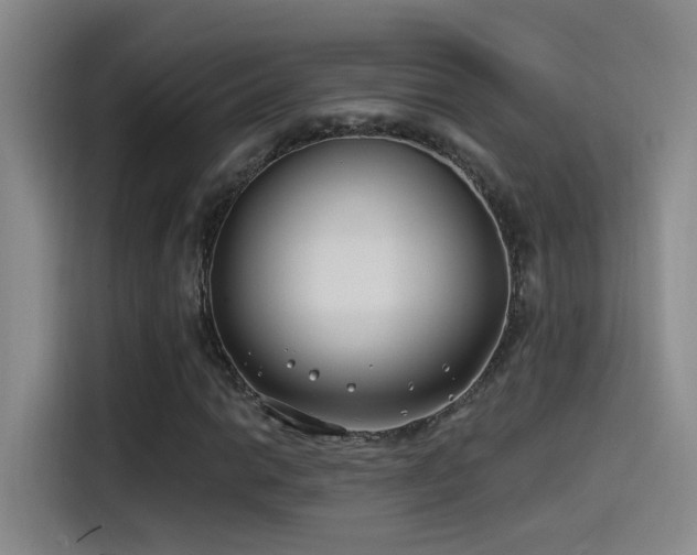 X0000115521014200911061413