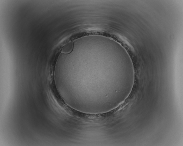 X0000115521015200911061413