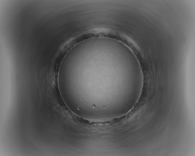 X0000115521016200911061413