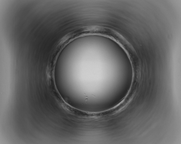 X0000115521017200911061413