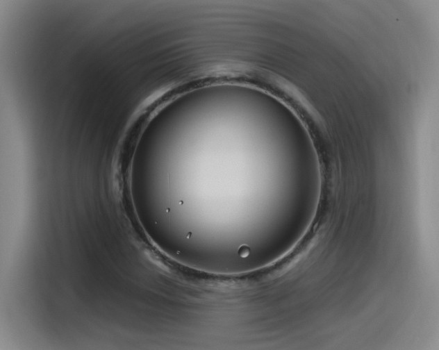 X0000115521018200911061413