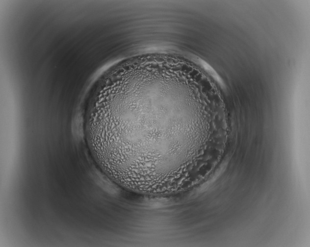 X0000115521019200911061413
