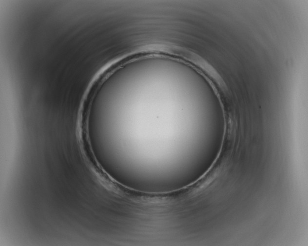 X0000115521020200911061413