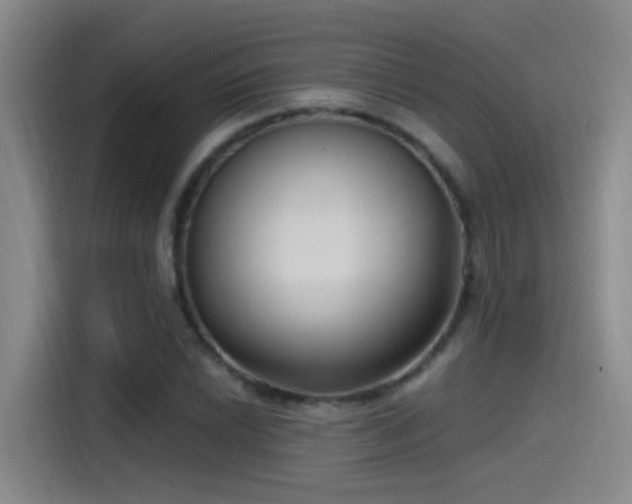 X0000115521022200911061413