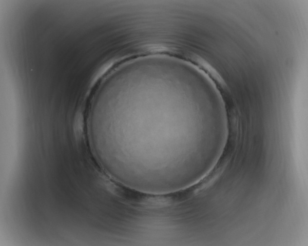 X0000115521023200911061413