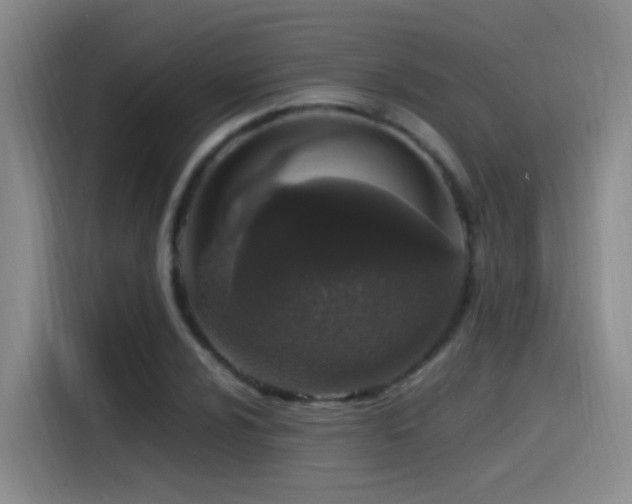 X0000115521024200911061413