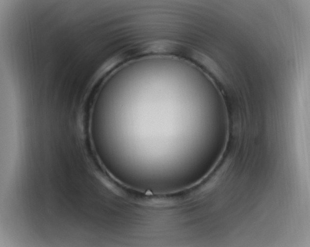 X0000115521026200911061413
