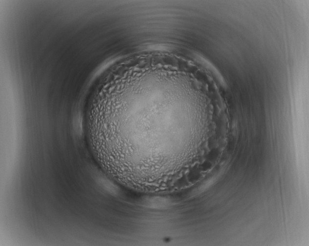 X0000115521027200911061413