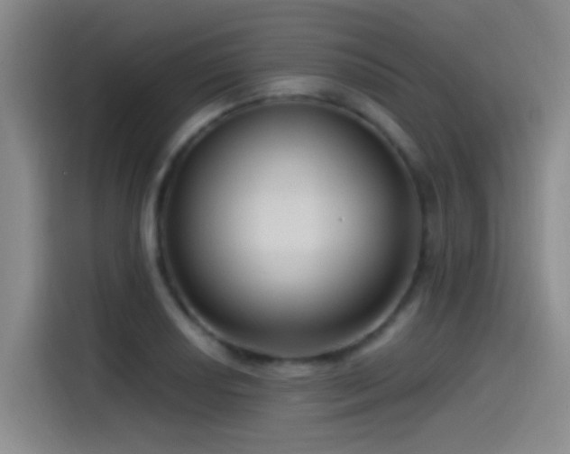 X0000115521034200911061413