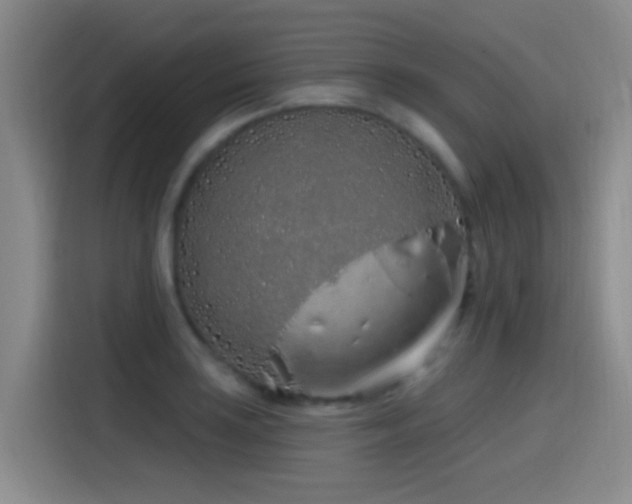 X0000115521035200911061413