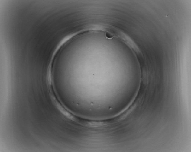 X0000115521036200911061413
