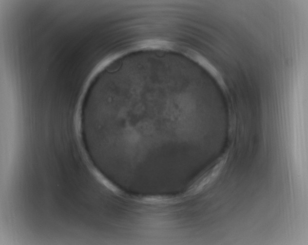 X0000115521037200911061413