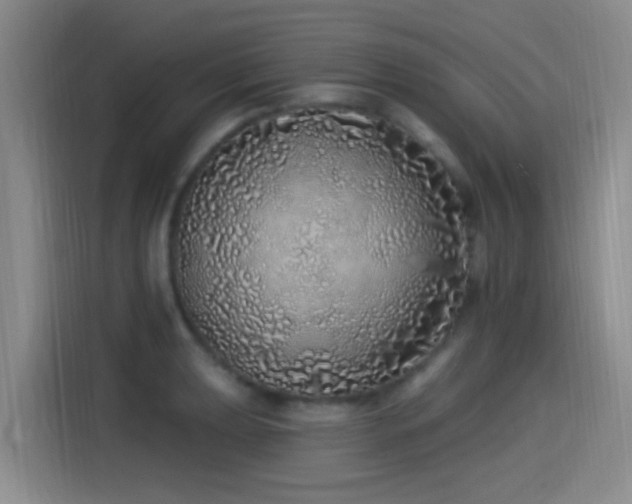 X0000115521039200911061413