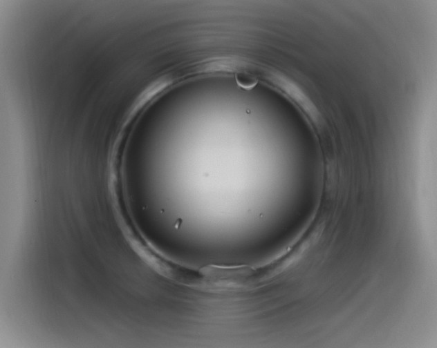 X0000115521042200911061413