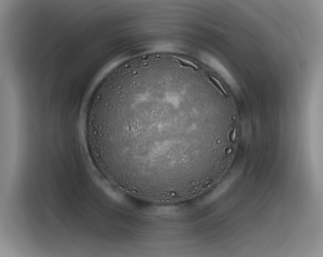 X0000115521043200911061413