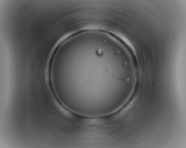 X0000115521045200911061413