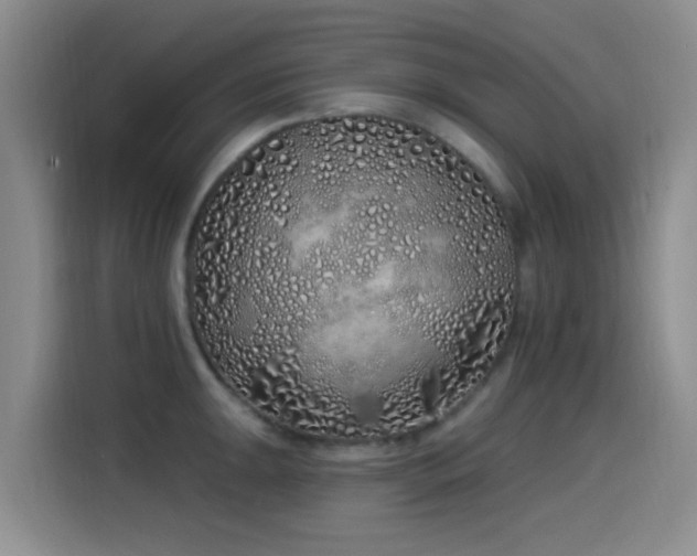 X0000115521047200911061413