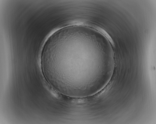 X0000115521051200911061413