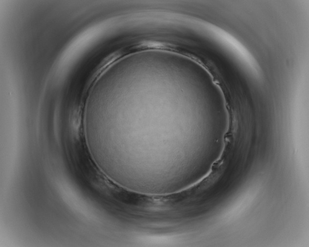 X0000115521052200911061413