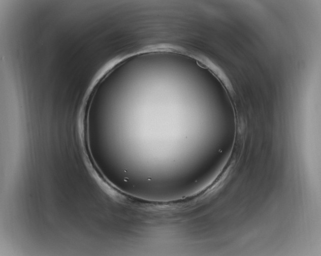 X0000115521054200911061413