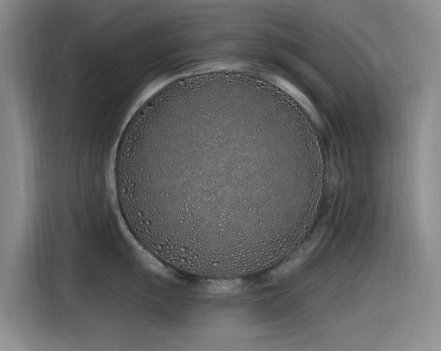 X0000115521055200911061413