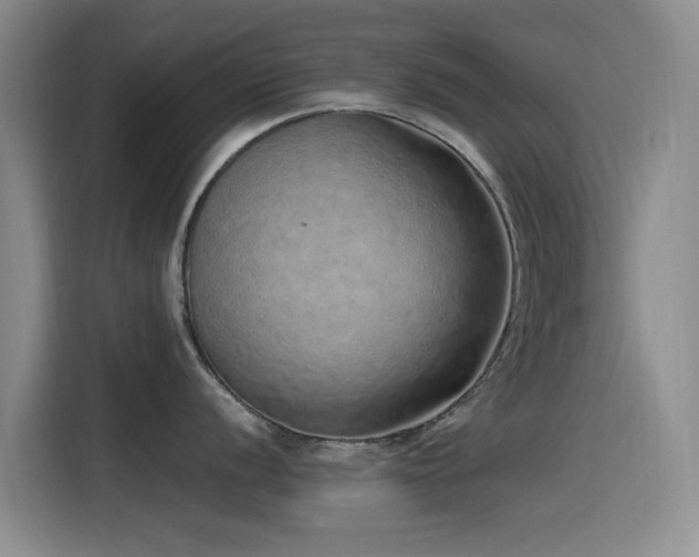 X0000115521056200911061413