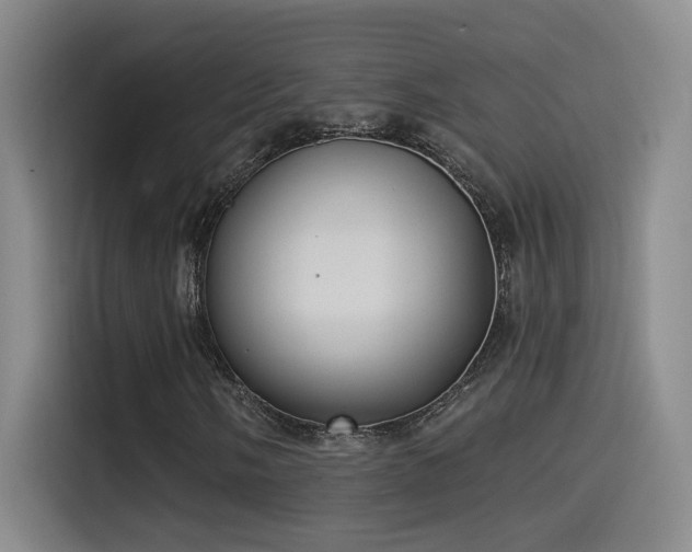 X0000115521058200911061413