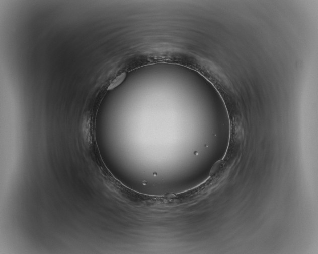 X0000115521060200911061413