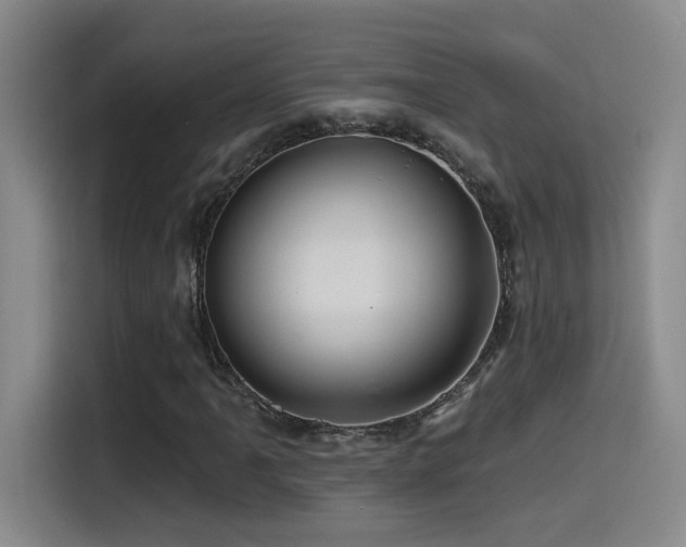 X0000115521061200911061413