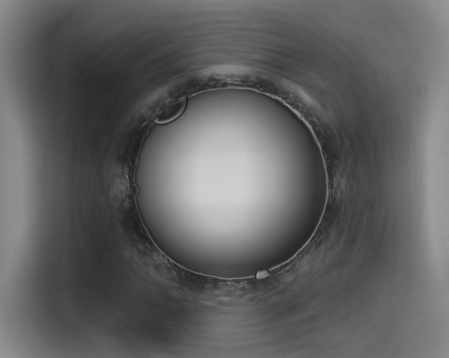 X0000115521062200911061413