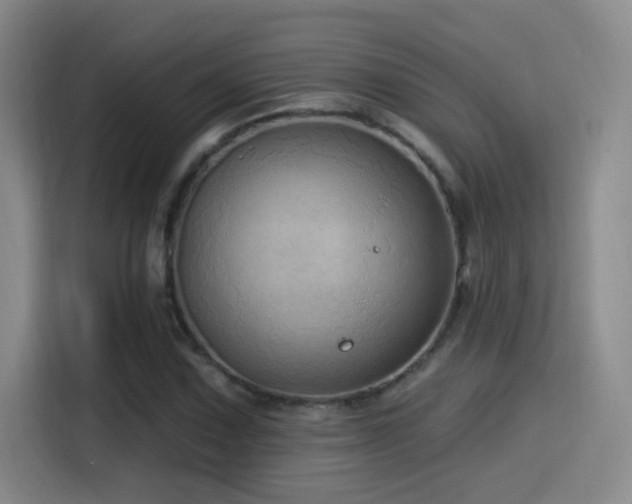 X0000115521067200911061413