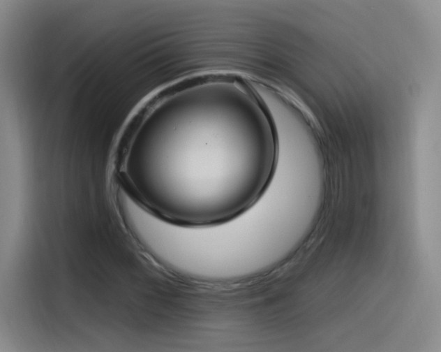 X0000115521068200911061413