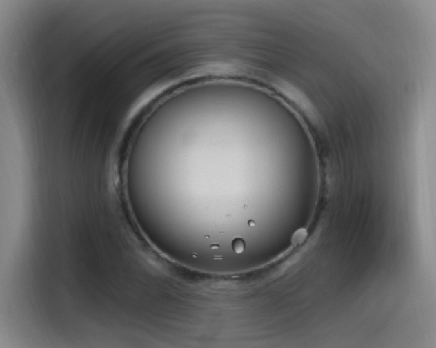 X0000115521070200911061413