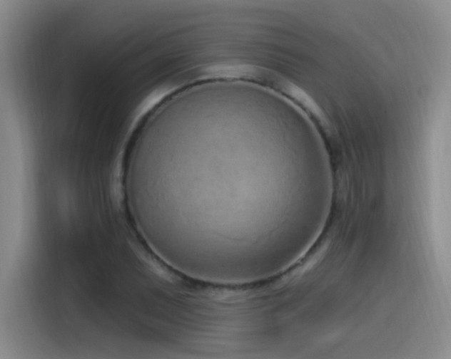 X0000115521071200911061413