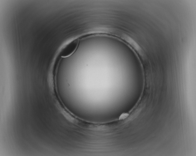 X0000115521072200911061413