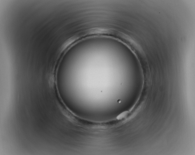 X0000115521073200911061413