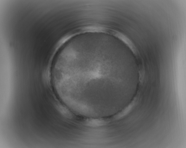 X0000115521074200911061412